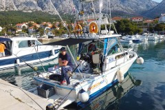 orebic-big-game-fishing-challenge-6-of-12