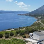 01ff2822-621b-4ead-b3de-037f884baa39