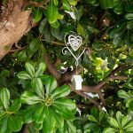 20608ff1-f24a-43ad-8b2e-57922e88caaf