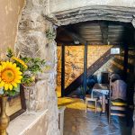 3d181ed9-8271-41a6-9ee1-68853735436d