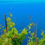 5682c37f-5f4a-44a4-b097-639920f26e1c 5682c37f-5f4a-44a4-b097-639920f26e1c