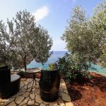 6e146708-29b7-45d1-b140-21fc62a64e83