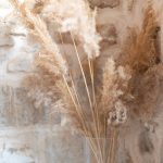 a9a2dfc7-d799-4bb2-bc0e-52de0c7a0f6d