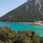 a9b9e42a-0cfb-4a11-a419-402b24520fa2 a9b9e42a-0cfb-4a11-a419-402b24520fa2