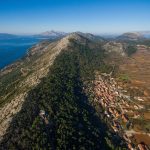 b5a14aa4-373e-46a3-a44c-32366c5a2389 b5a14aa4-373e-46a3-a44c-32366c5a2389