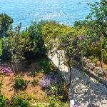 barbie-orebic-perna-10