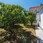 c49830b1-b6f8-495c-9c9a-5e6ab4b35edf