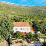 e0a6d767-7797-4e9f-9c82-0486b31531b8