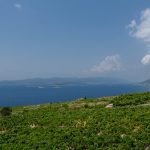 Villa Navis Postup-5995